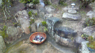 a0131387_2153891.jpg