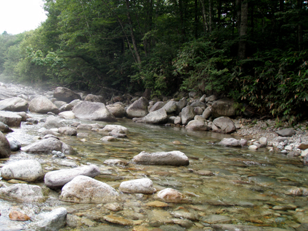 b0178889_1031192.jpg