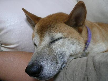 c0123890_21181740.jpg