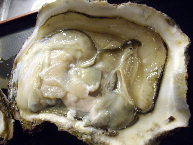 f0084695_17162377.jpg
