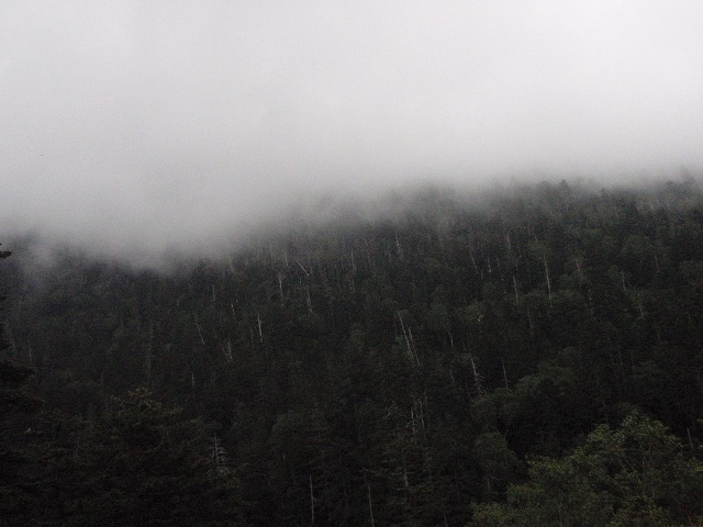 c0147398_2334125.jpg