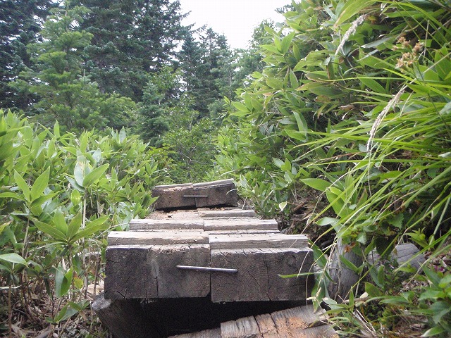 c0147398_23342418.jpg