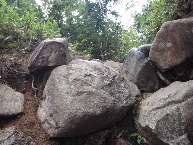 c0147398_23343379.jpg