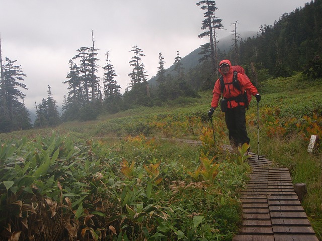 c0147398_23344829.jpg