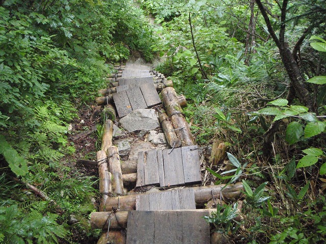 c0147398_2334583.jpg