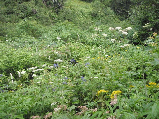 c0147398_2335111.jpg