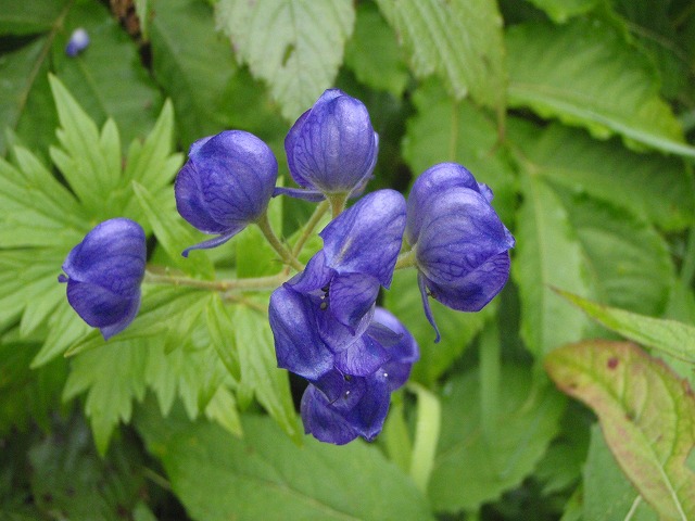 c0147398_23352720.jpg