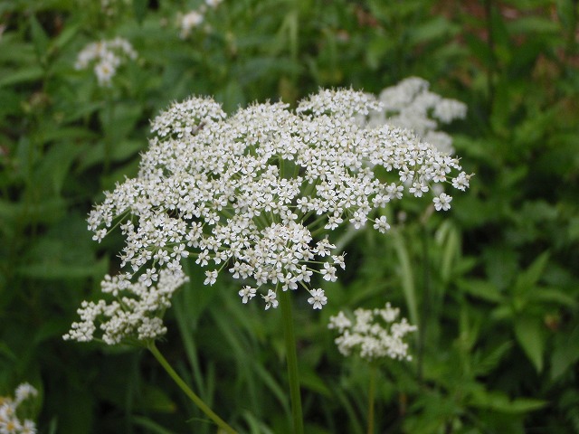 c0147398_23354531.jpg