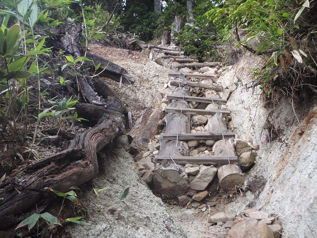 c0147398_23355351.jpg