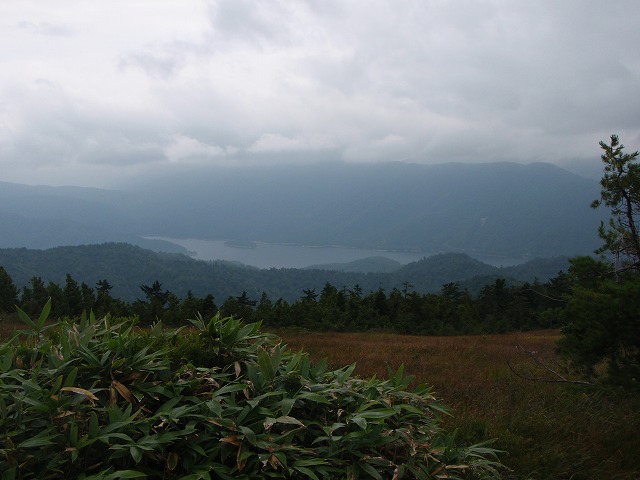 c0147398_23373135.jpg
