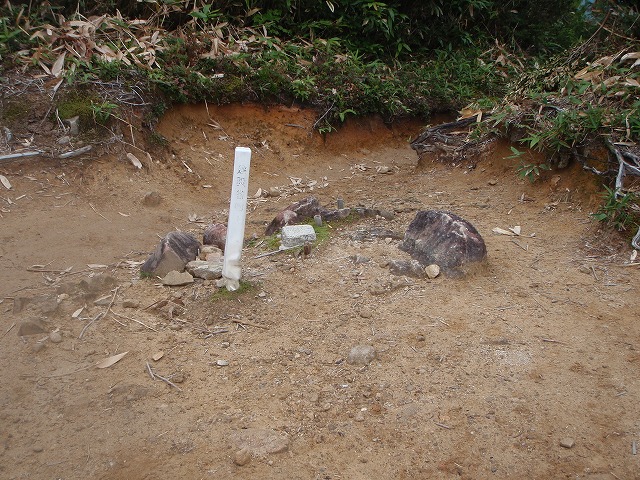 c0147398_23374084.jpg