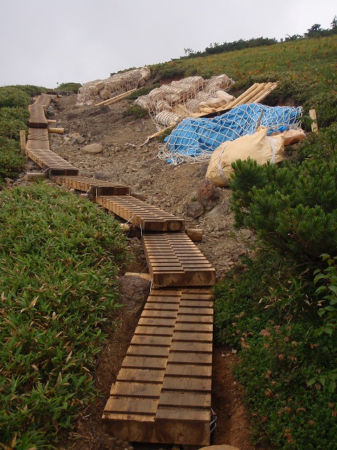 c0147398_23485498.jpg