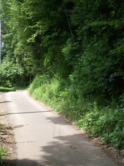 e0025300_16241936.jpg