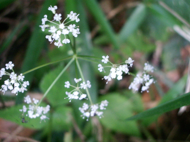 e0025300_16303631.jpg