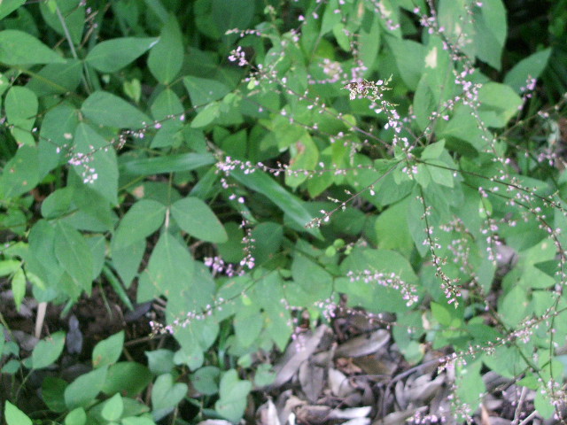 e0025300_16394751.jpg