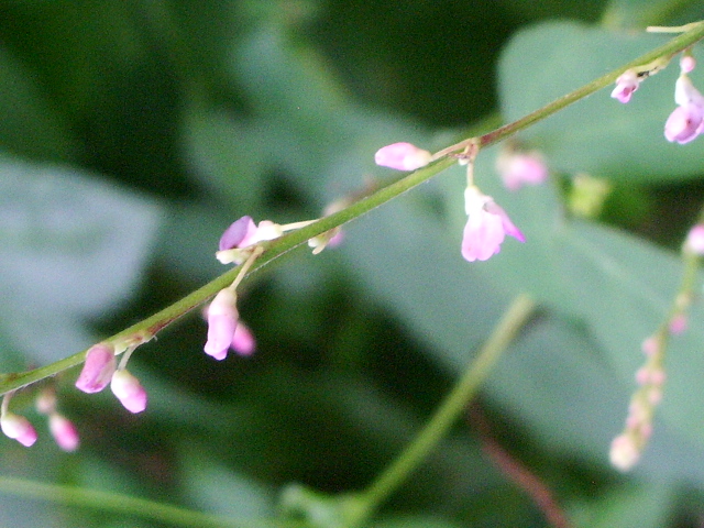 e0025300_16401066.jpg