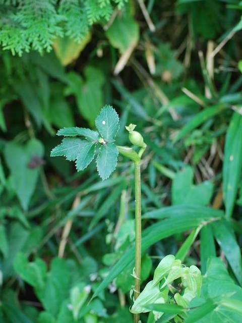 e0025300_1644151.jpg