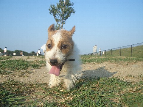 a0051402_114598.jpg