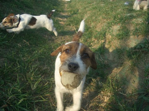 a0051402_1274538.jpg