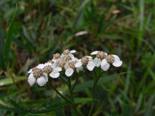 f0187402_23551659.jpg