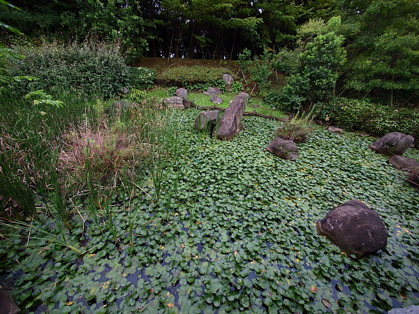 e0117503_21313113.jpg