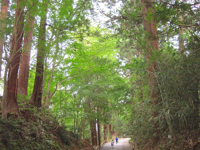 e0183804_474647.jpg