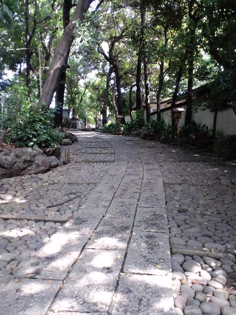 a0088007_2375180.jpg