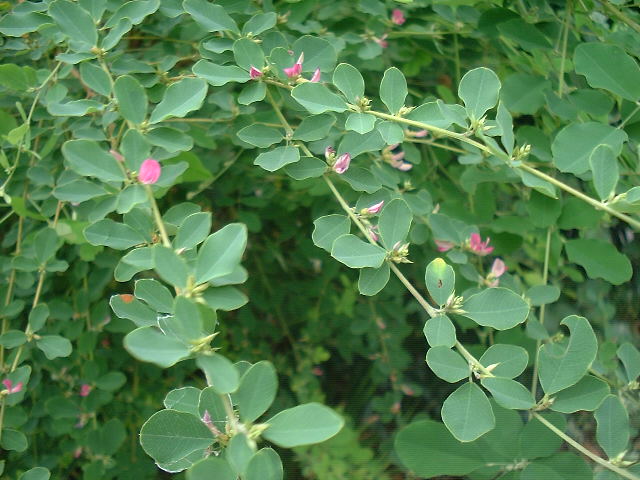 f0173908_21164937.jpg