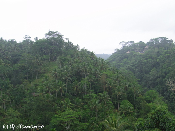 e0071409_20393283.jpg