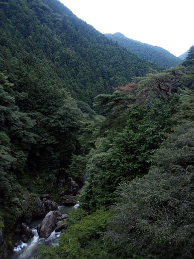 e0066210_0165187.jpg