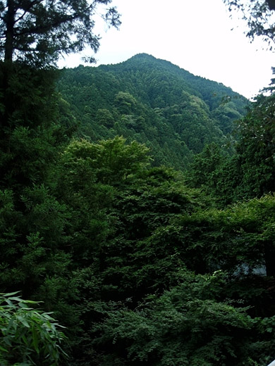 e0066210_043154.jpg