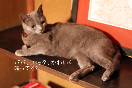 e0156015_23271842.jpg
