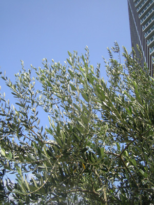 e0141819_18175238.jpg