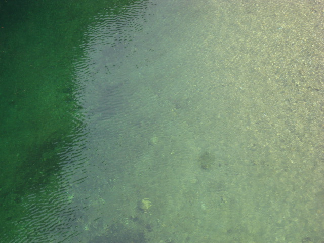d0147727_19512176.jpg