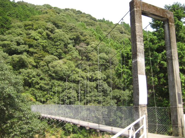 d0147727_19521696.jpg