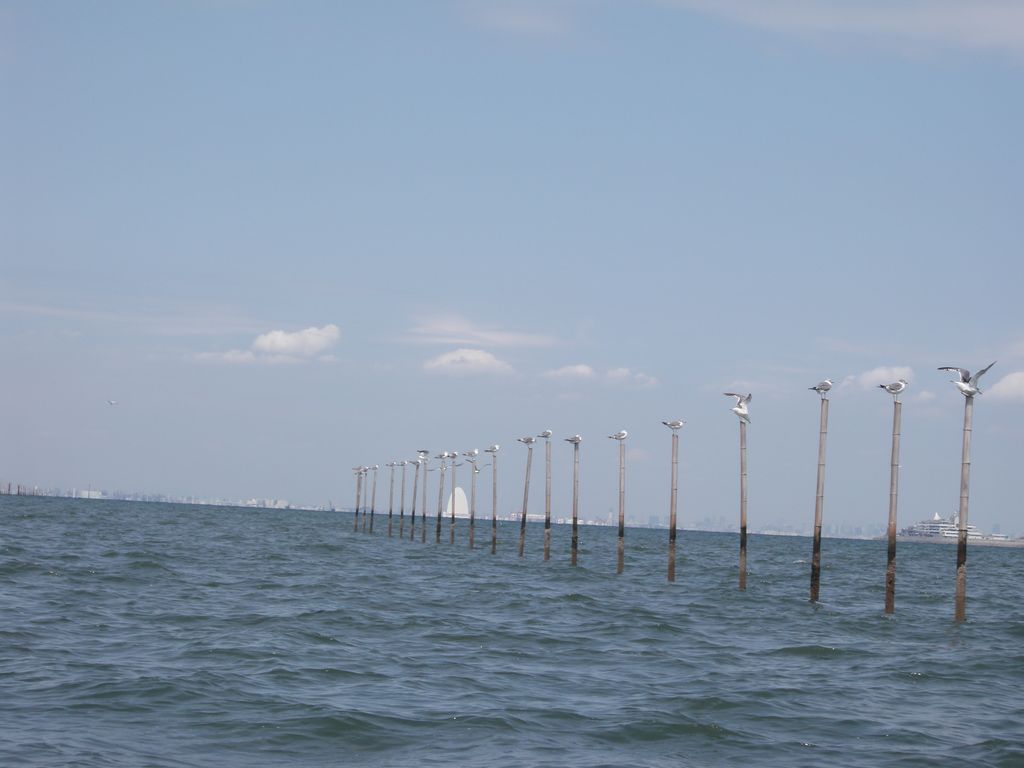 b0173629_22261289.jpg