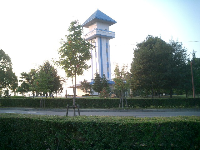 c0114833_1726258.jpg