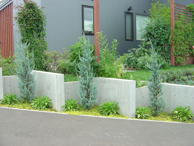 f0205733_1548915.jpg