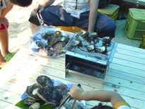 e0127935_22251952.jpg