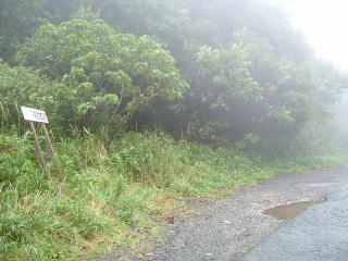 c0077338_2345269.jpg