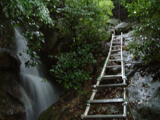 c0077338_23554696.jpg