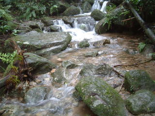 c0077338_23583161.jpg