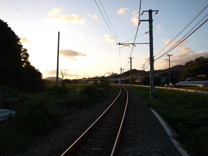 c0072843_19151913.jpg