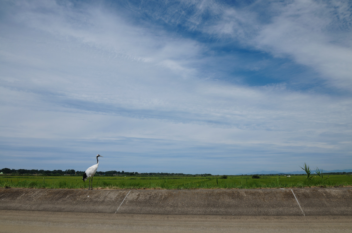a0039245_102934.jpg