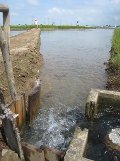 b0179047_20162330.jpg