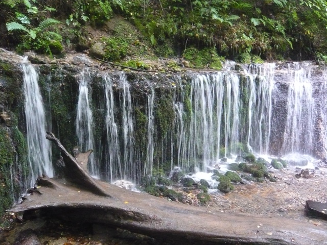 f0192348_23381495.jpg