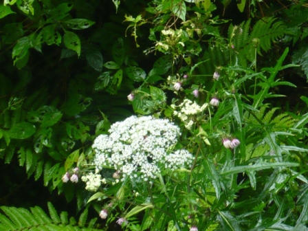 f0192348_23392297.jpg