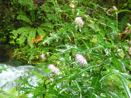 f0192348_2339314.jpg
