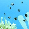 c0171349_14521090.jpg