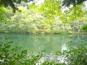f0170352_181974.jpg